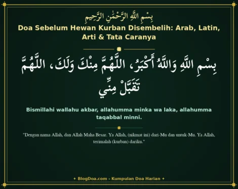 Doa Sebelum Hewan Kurban Disembelih: Arab, Latin, Arti & Tata Caranya